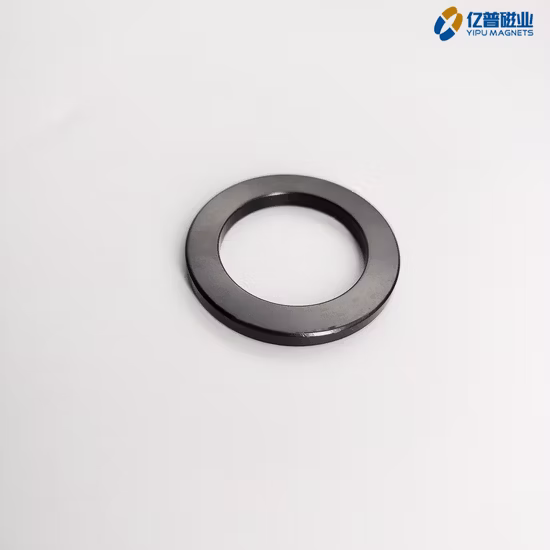 Customized Ring Compression Molding Neodymium Bonded NdFeB Magnets